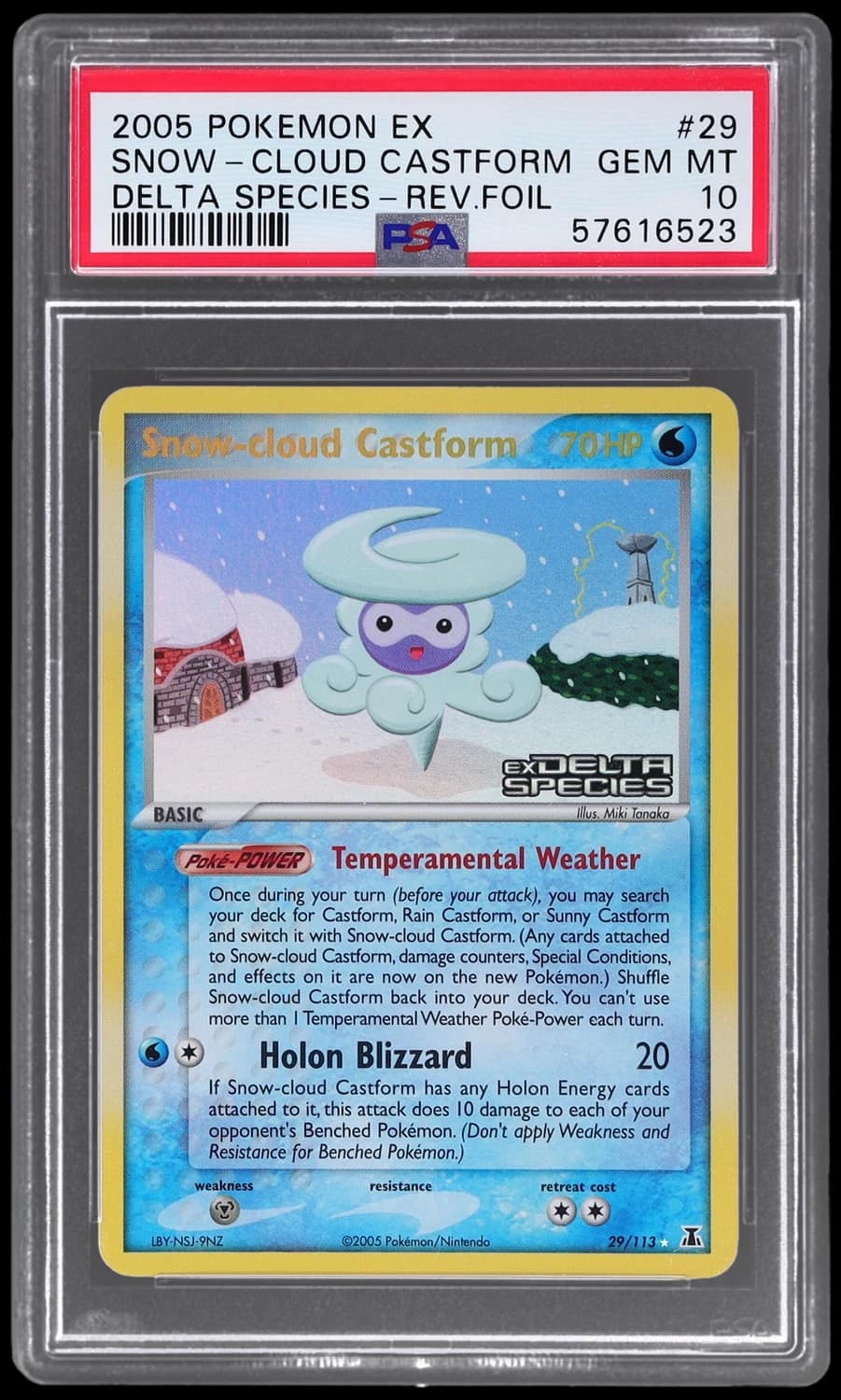 Snow-Cloud Castform