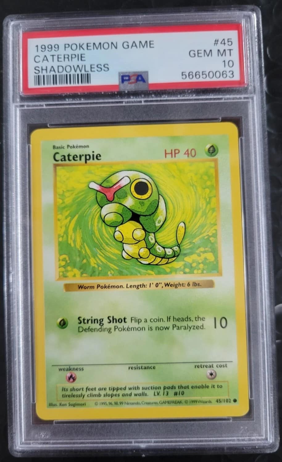 Caterpie