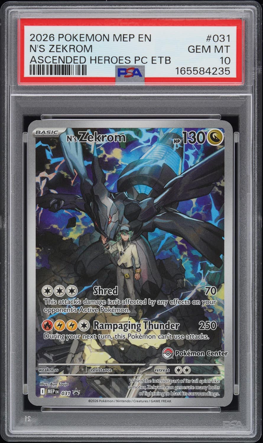 N'S Zekrom