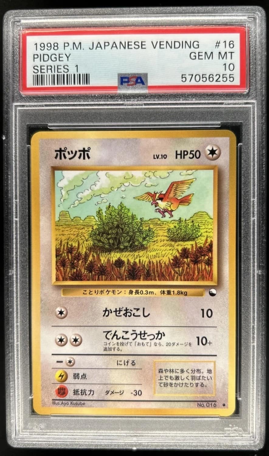 Pidgey