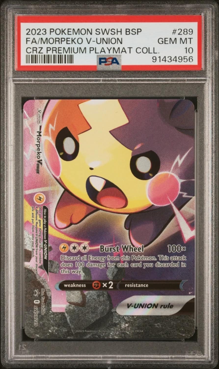 Morpeko V-Union