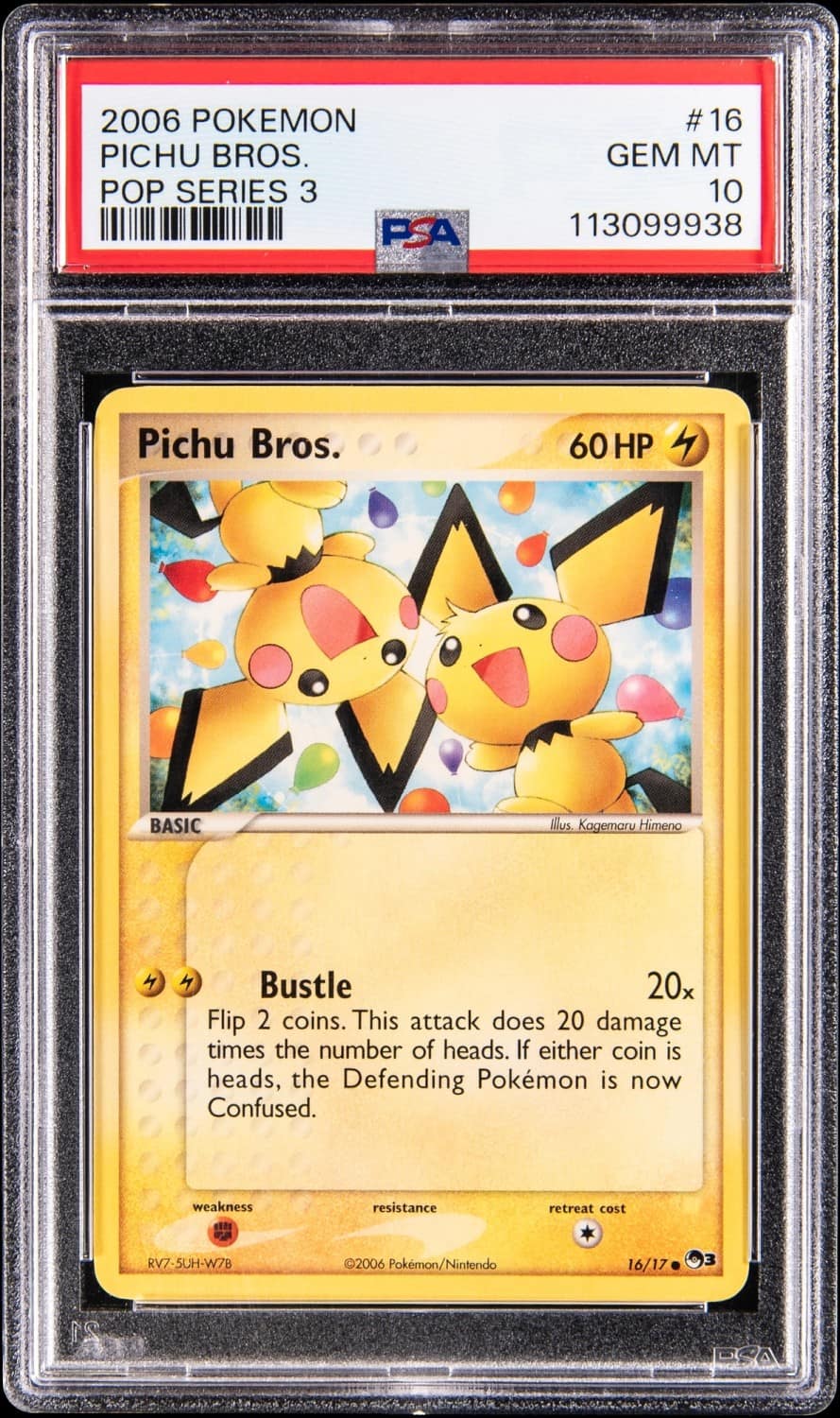 Pichu Bros