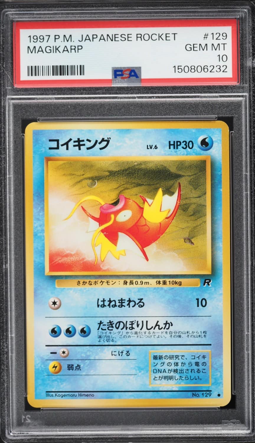 Magikarp