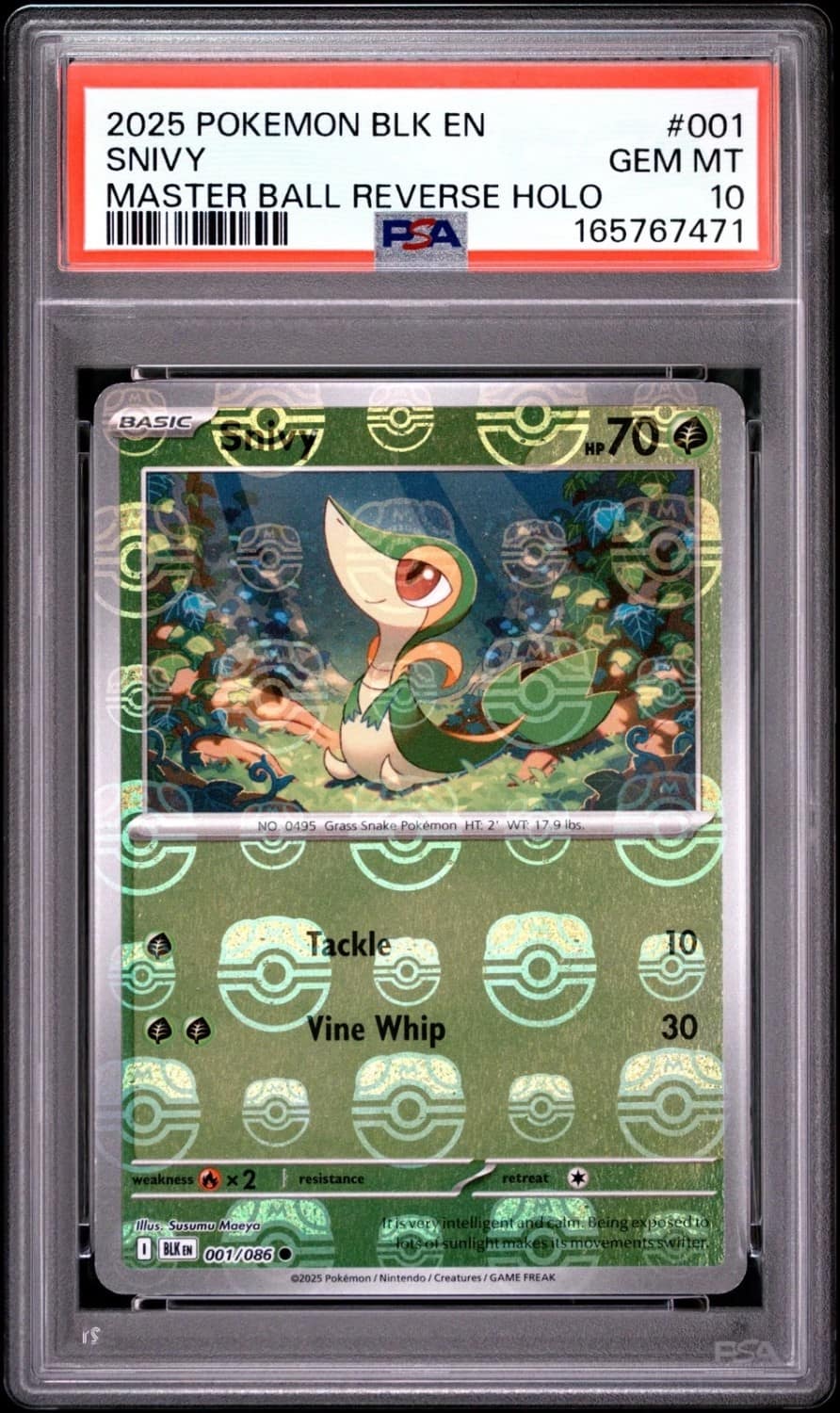 Snivy