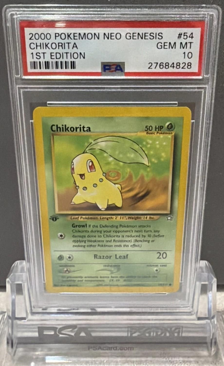 Chikorita