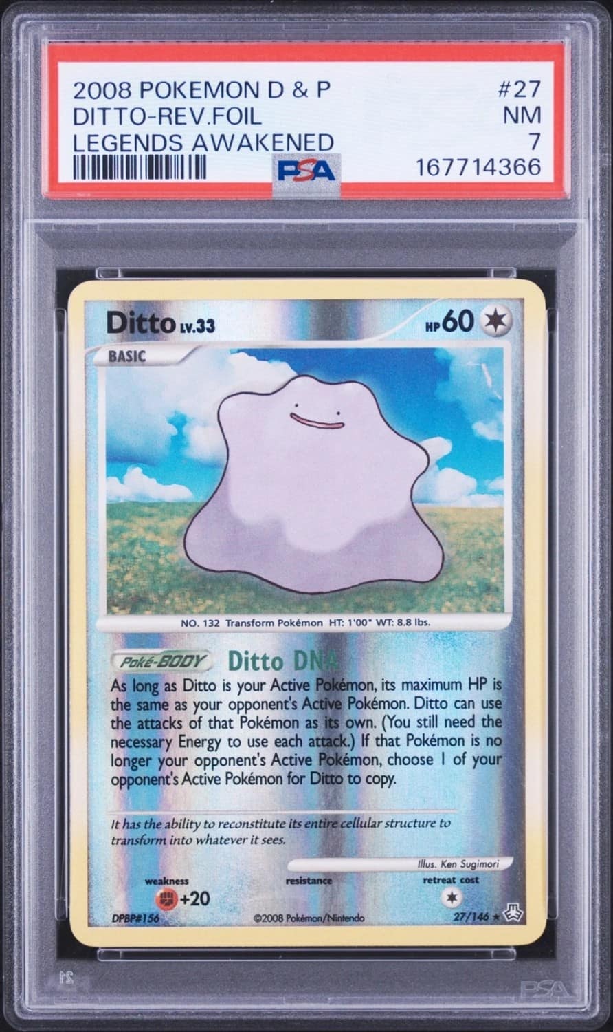 Ditto