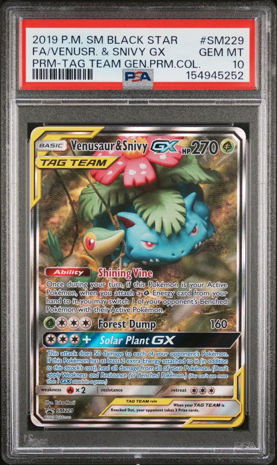 Venusaur & Snivy Gx