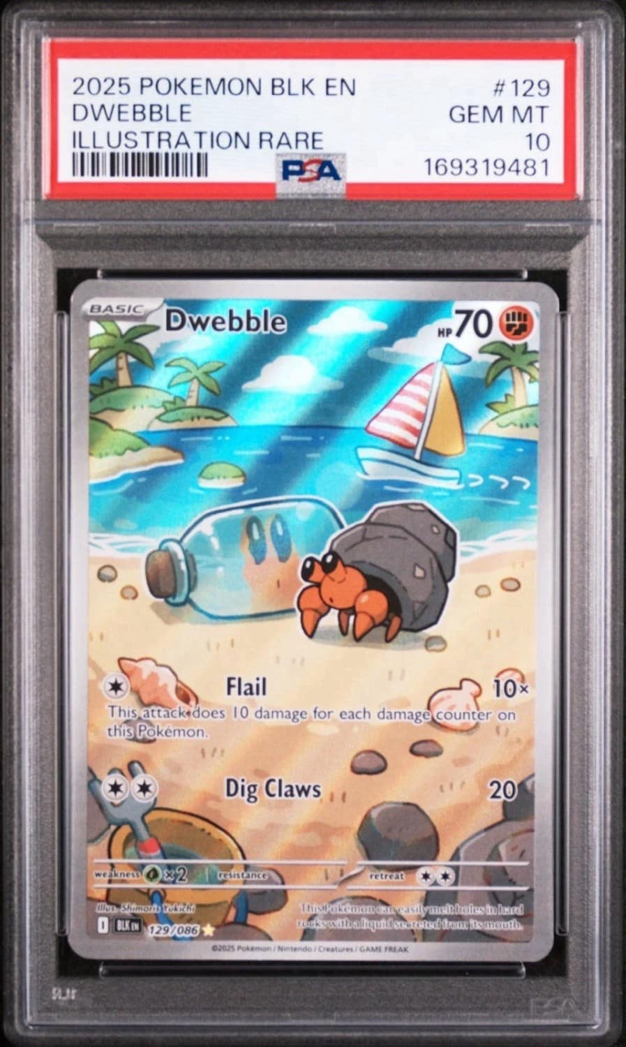 Dwebble