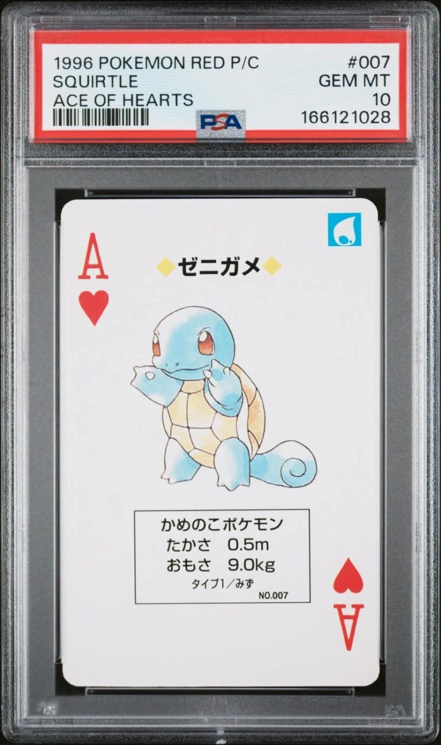 Squirtle