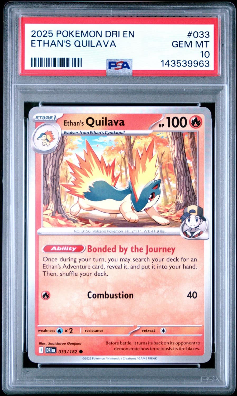 Ethan'S Quilava