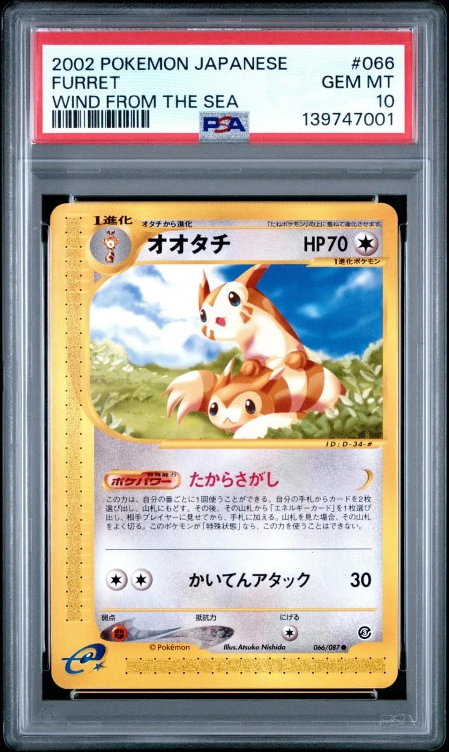 Furret
