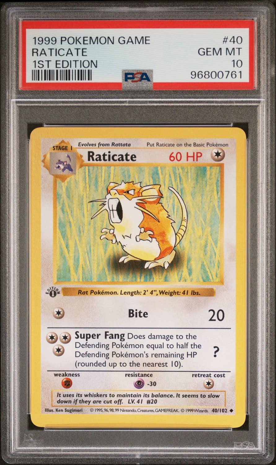 Raticate