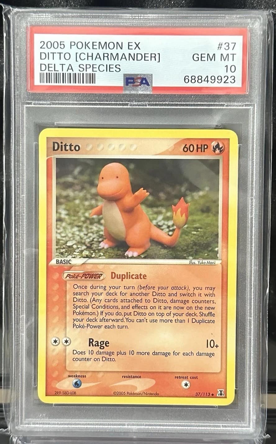 Ditto [charmander]