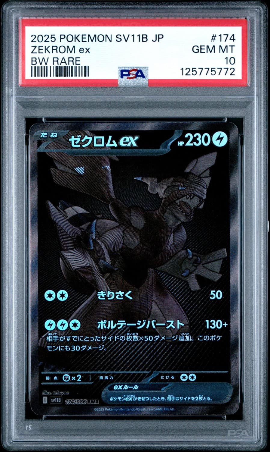 Zekrom Ex