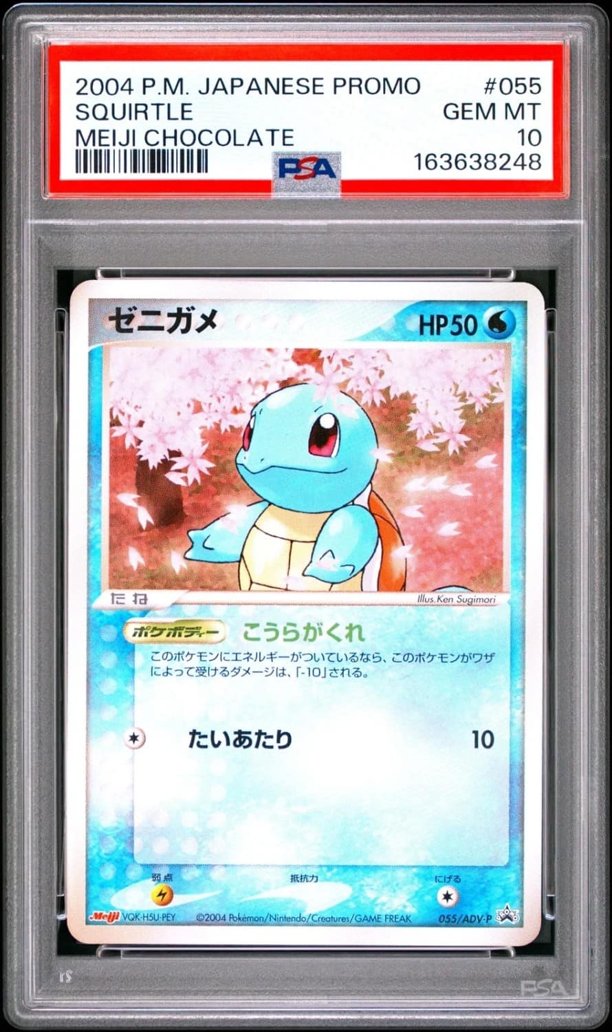 Squirtle