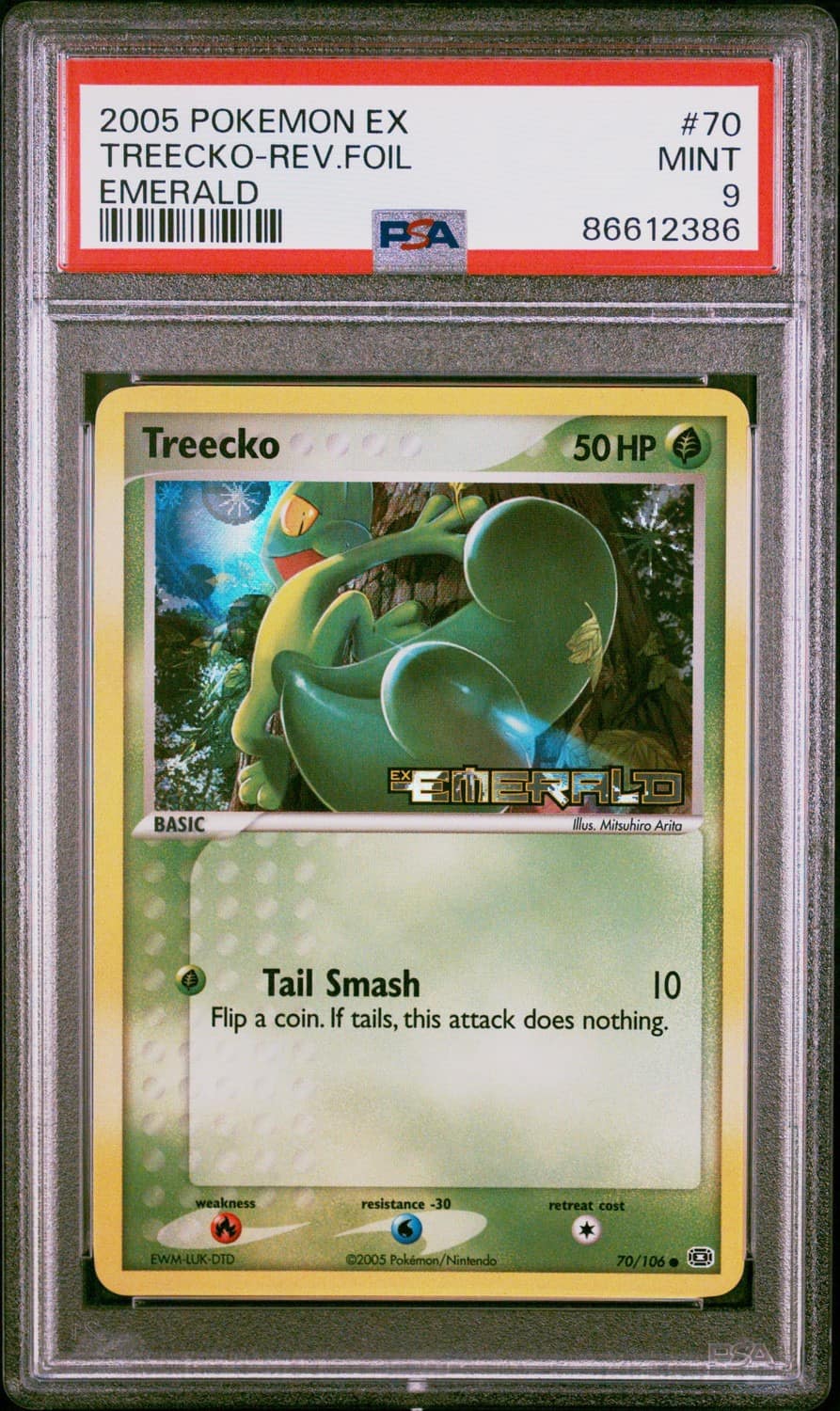 Treecko
