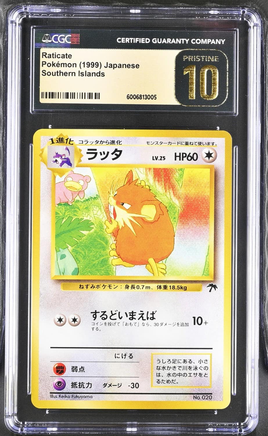 Raticate