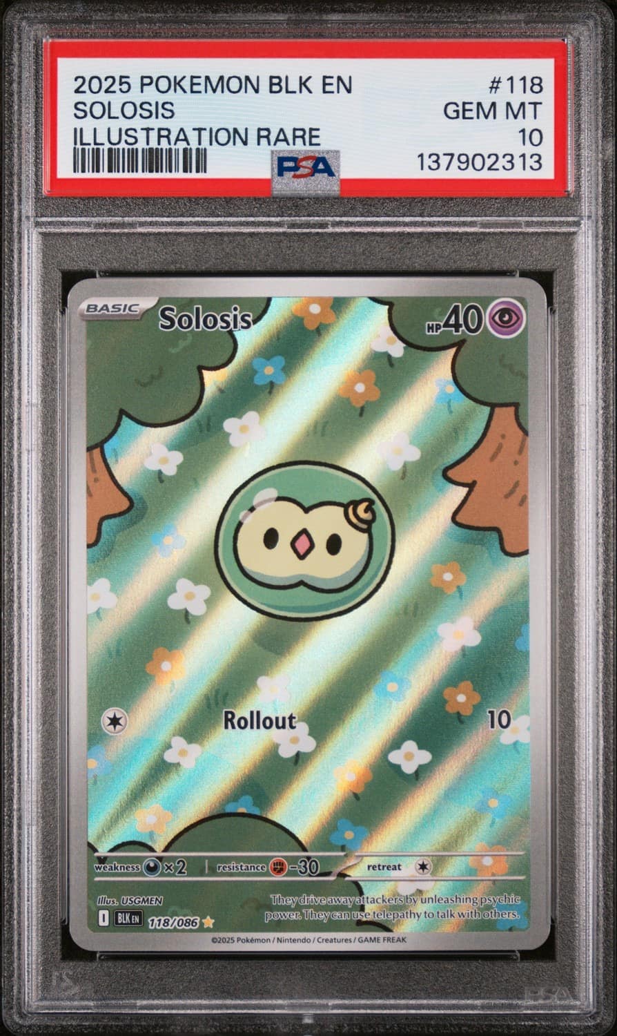 Solosis