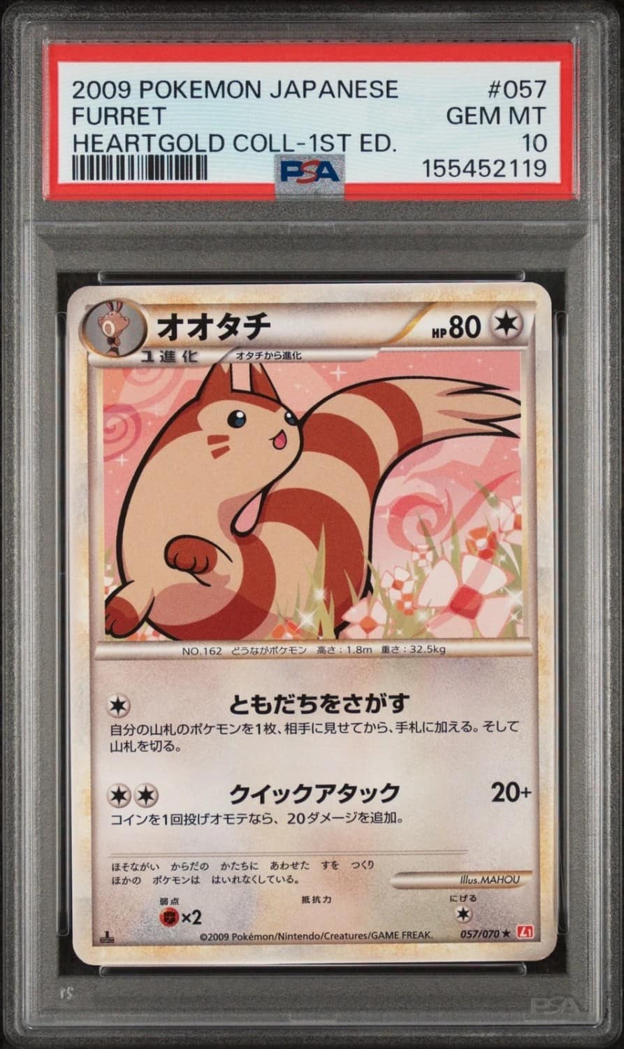 Furret