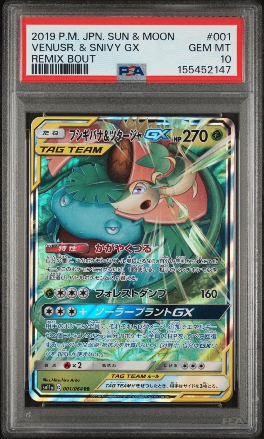 Venusaur & Snivy Gx