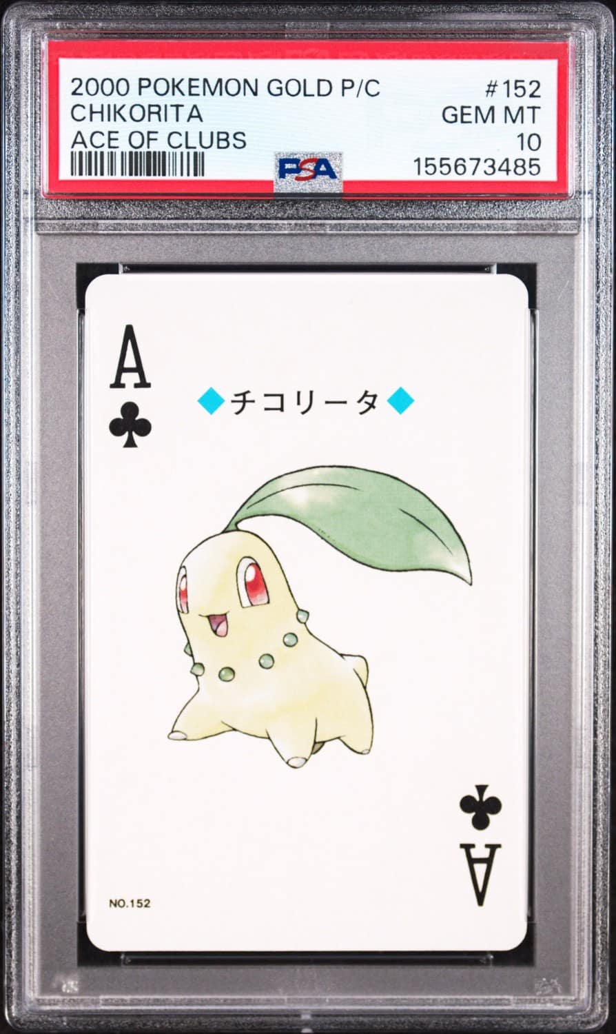 Chikorita