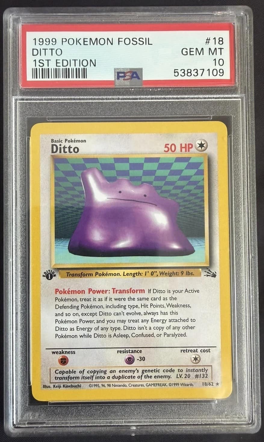 Ditto