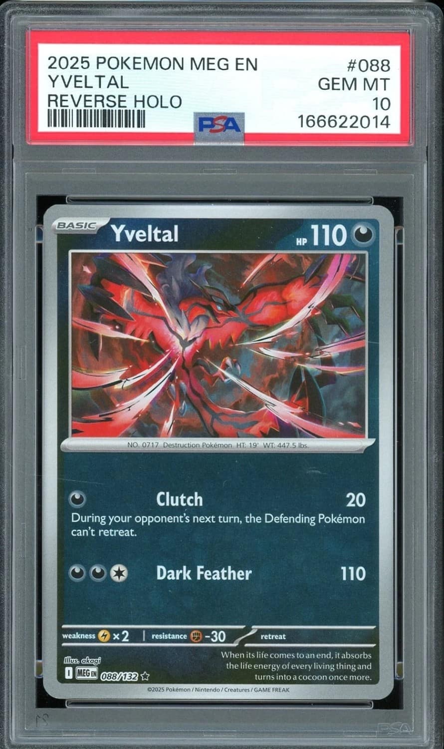 Yveltal