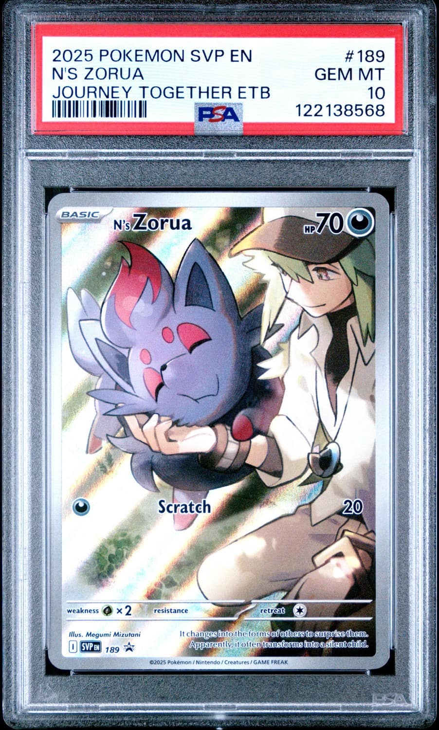 N'S Zorua
