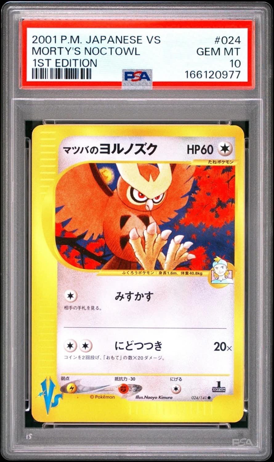 Morty'S Noctowl