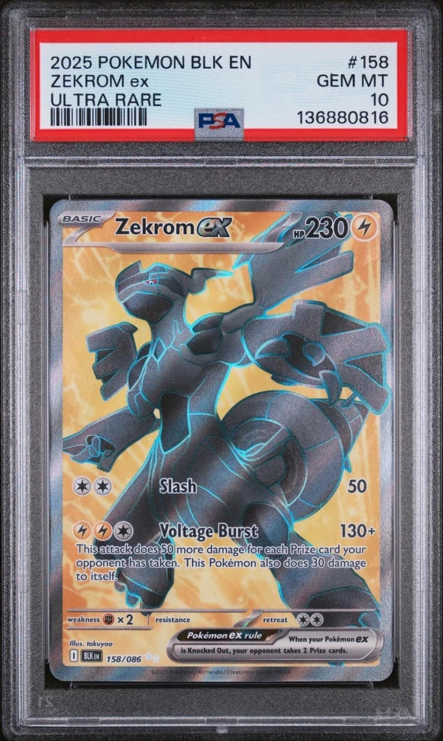 Zekrom Ex