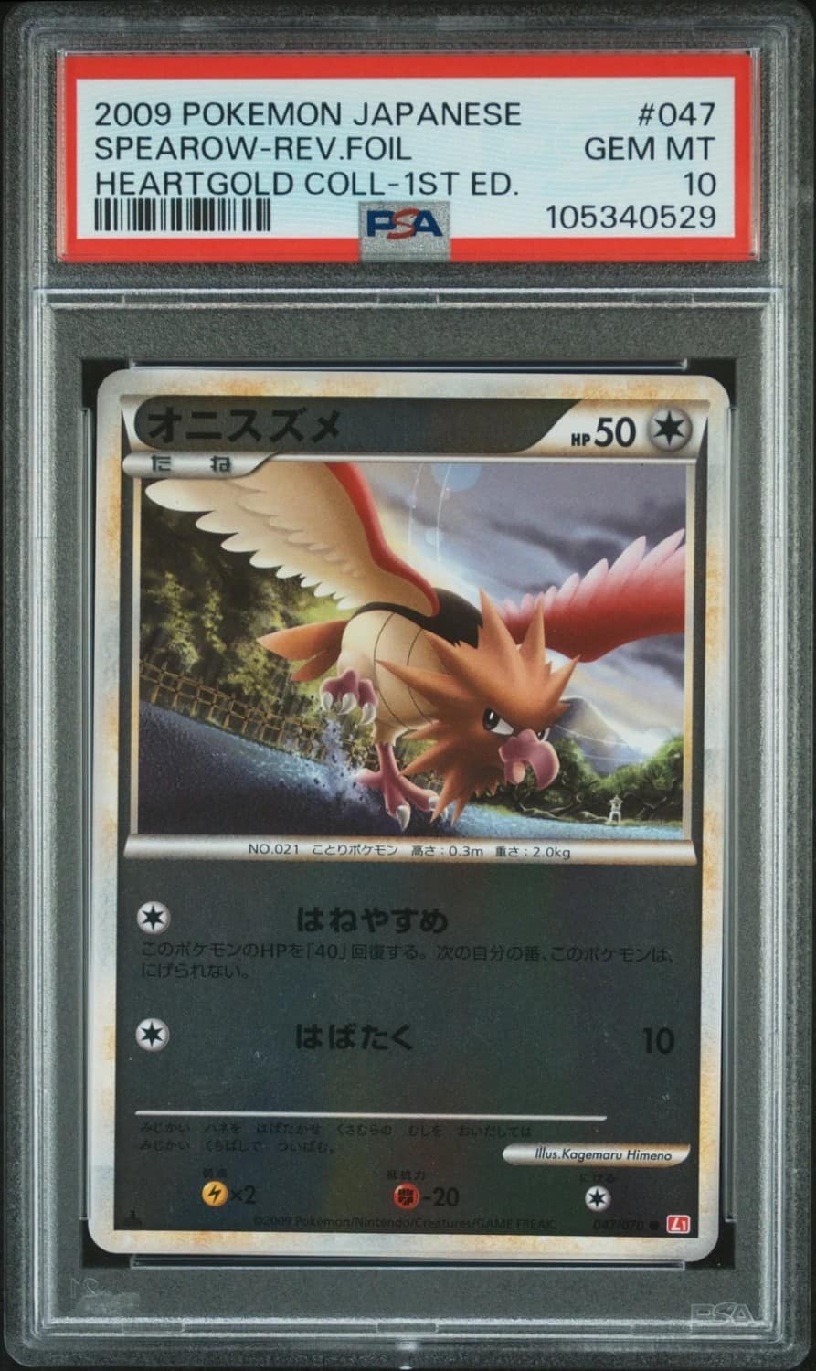 Spearow
