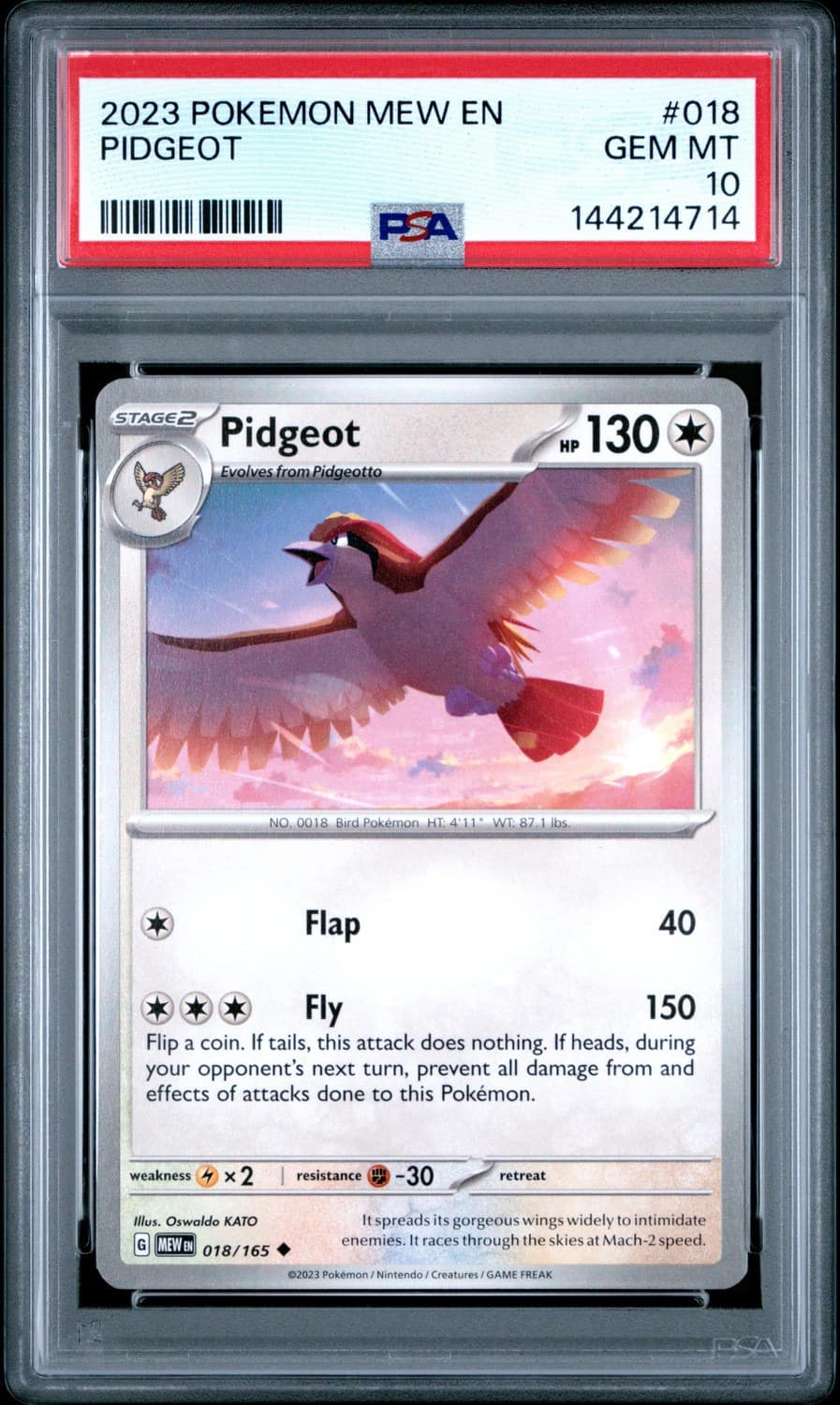 Pidgeot