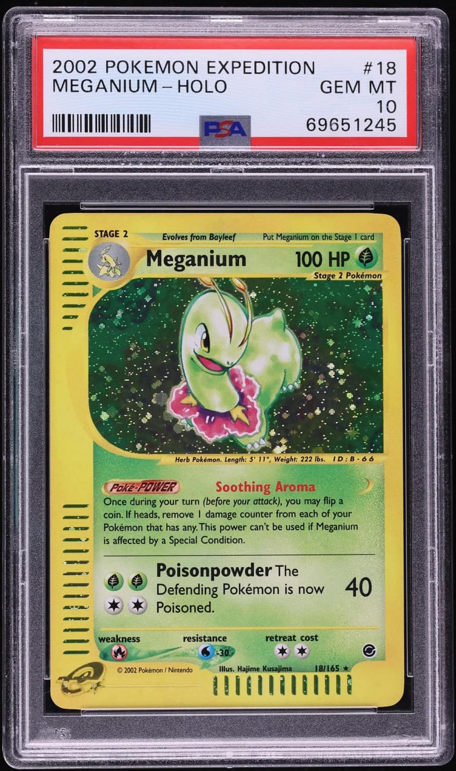 Meganium