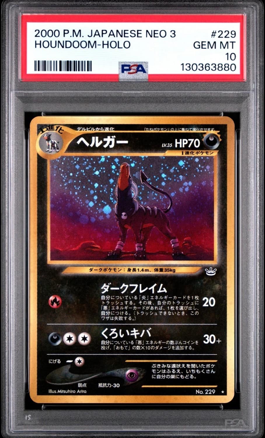 Houndoom