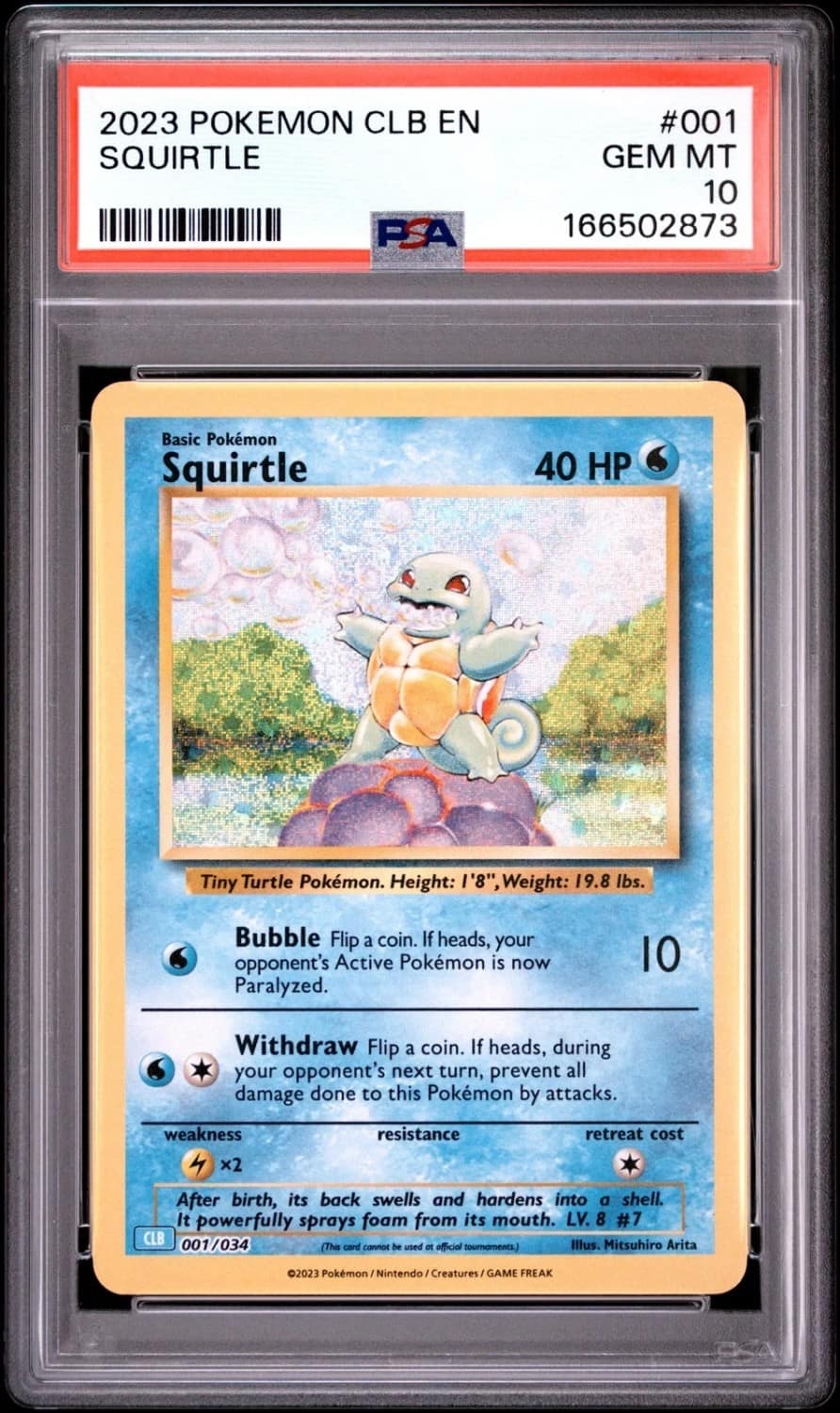 Squirtle