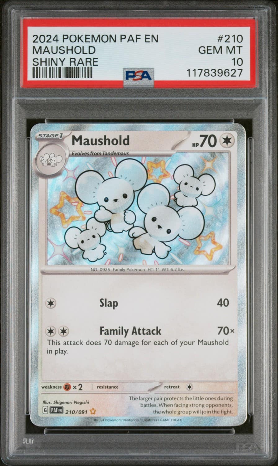 Maushold
