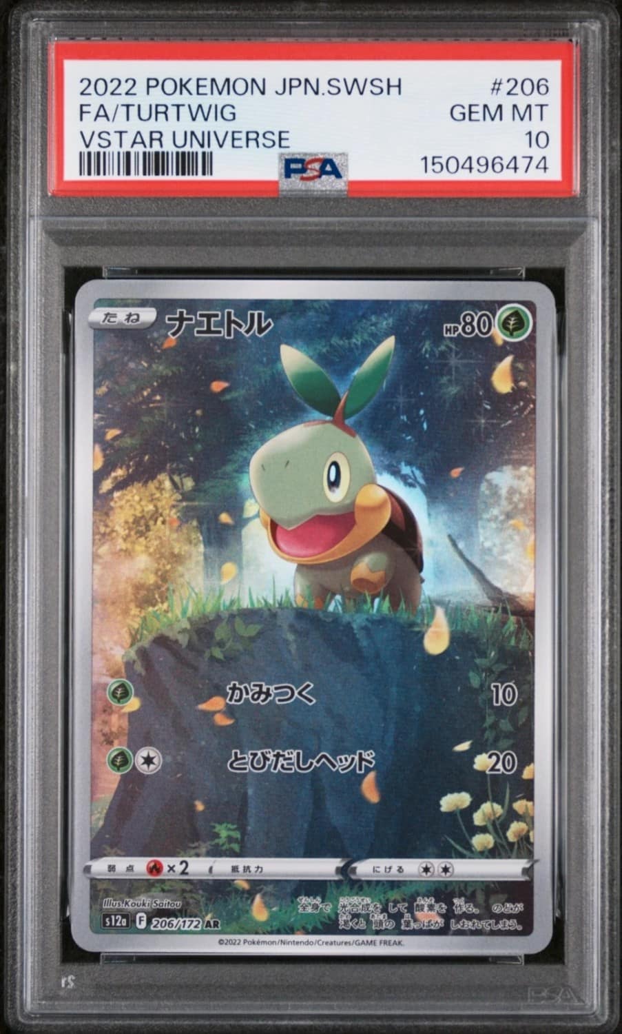 Turtwig