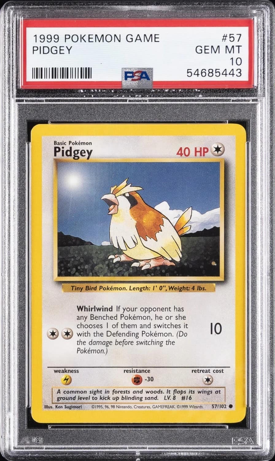Pidgey