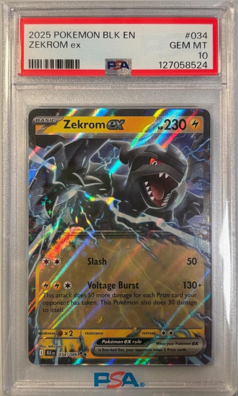 Zekrom Ex