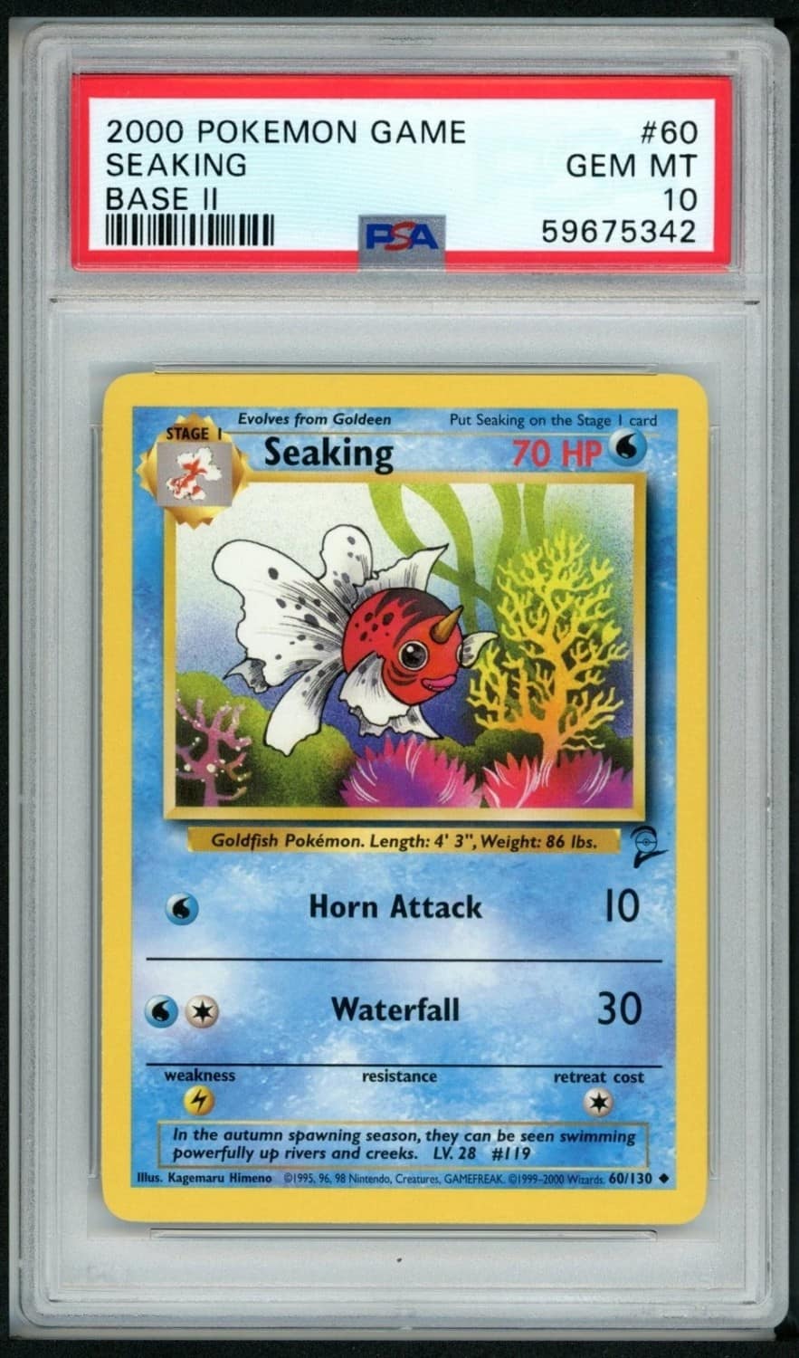 Seaking