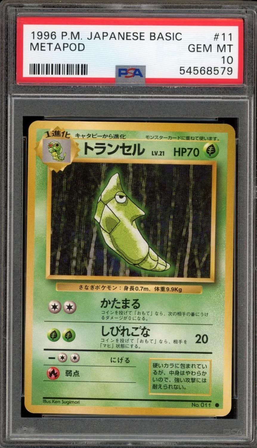 Metapod