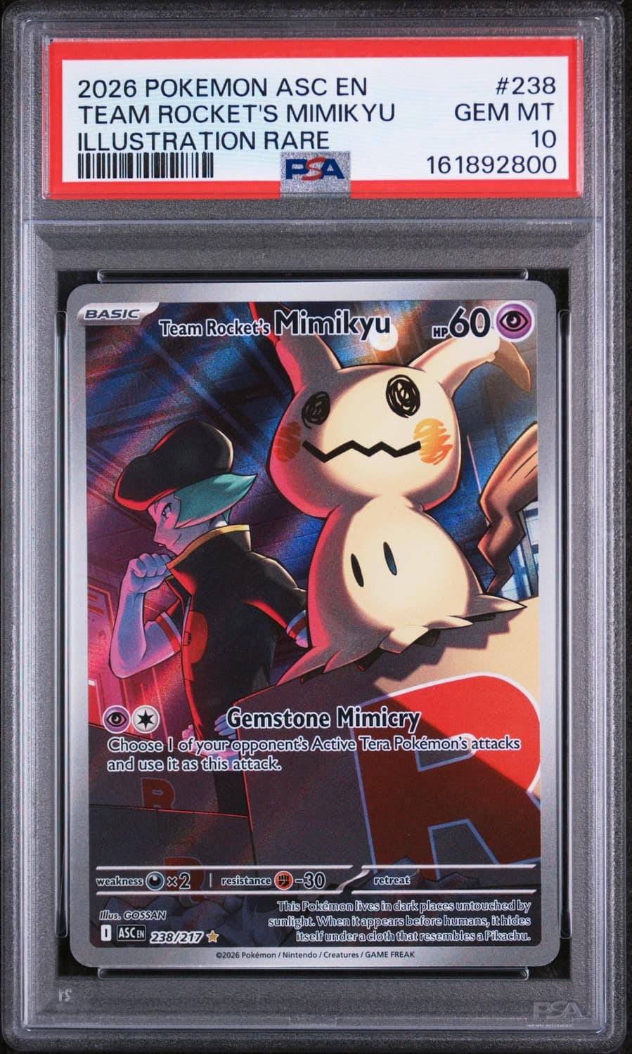 Team Rocket'S Mimikyu