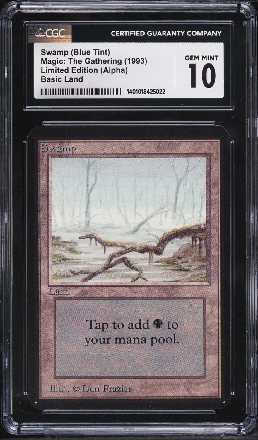 Swamp (blue Tint)