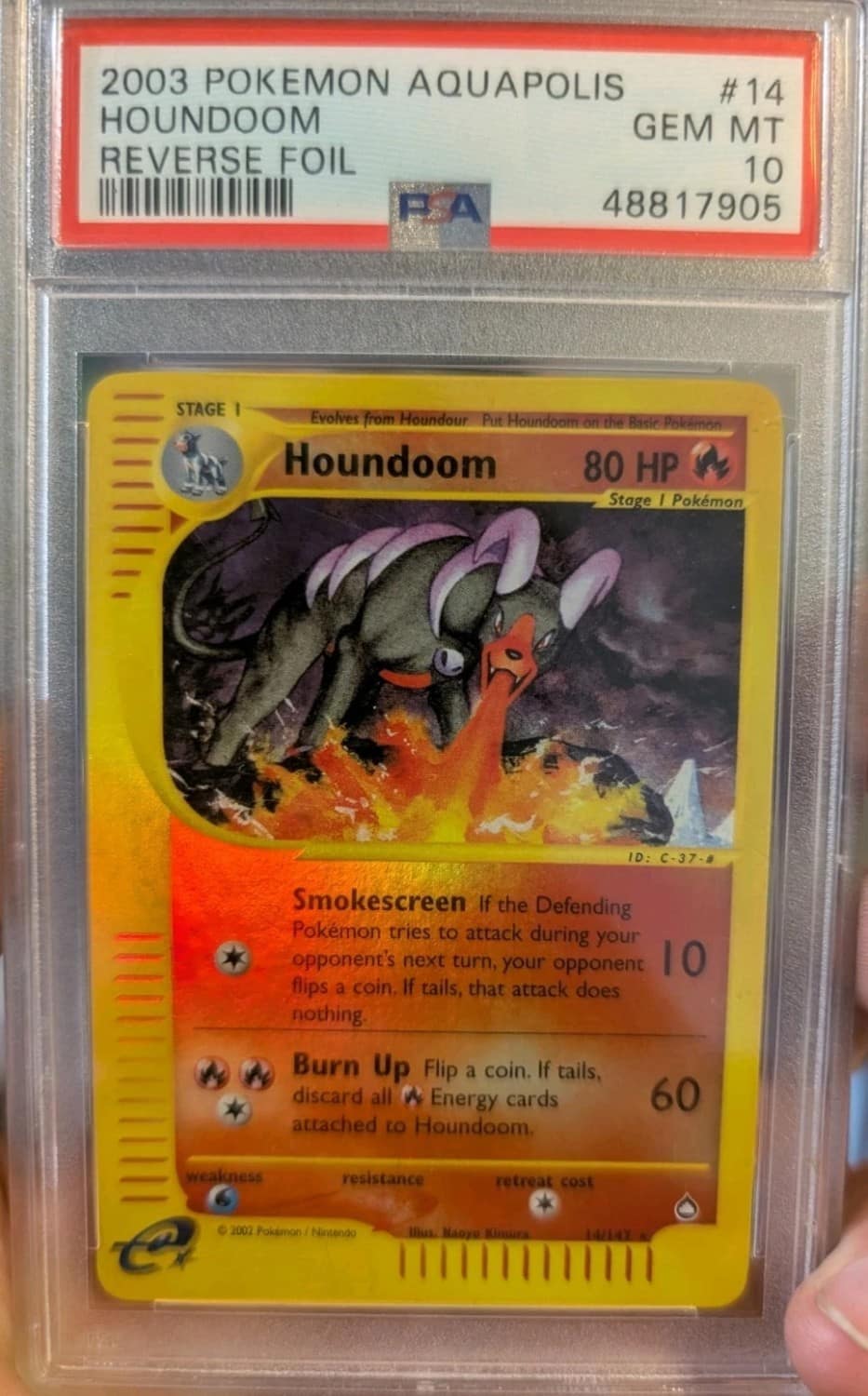Houndoom