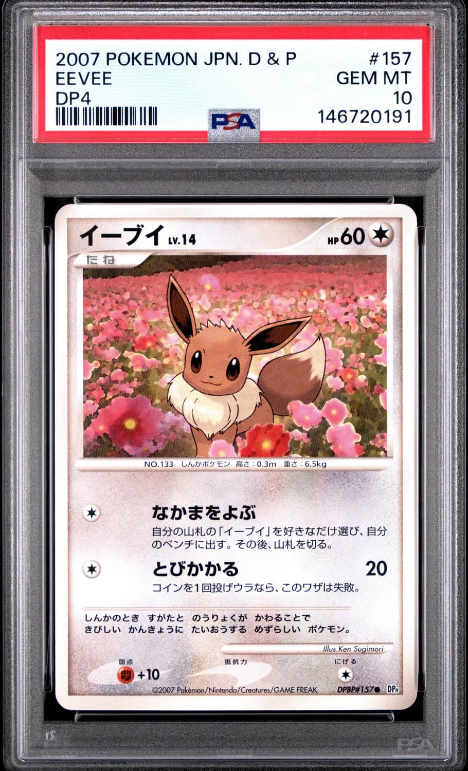 Eevee