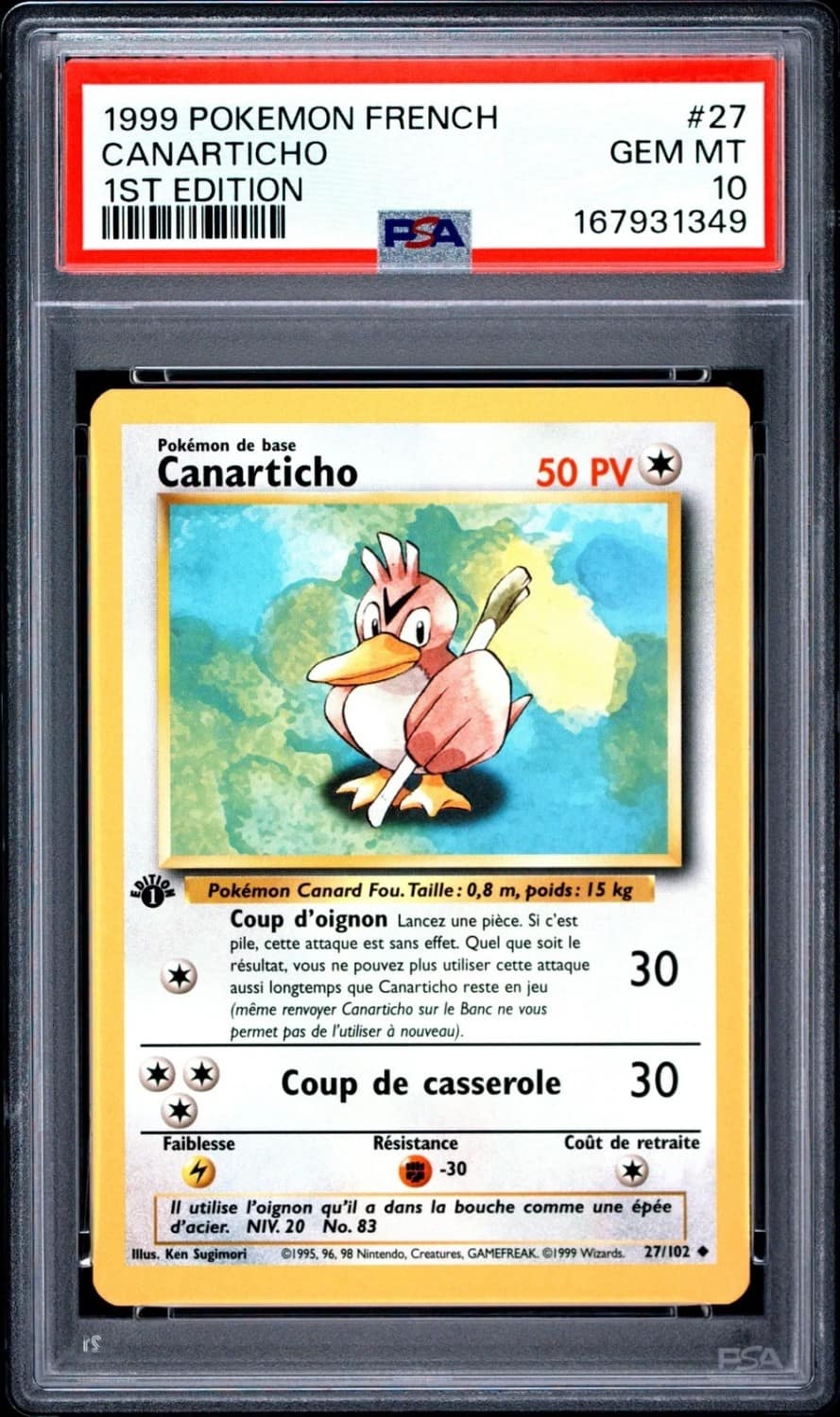 Canarticho