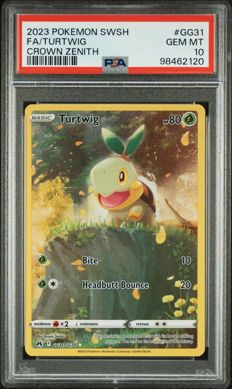 Turtwig