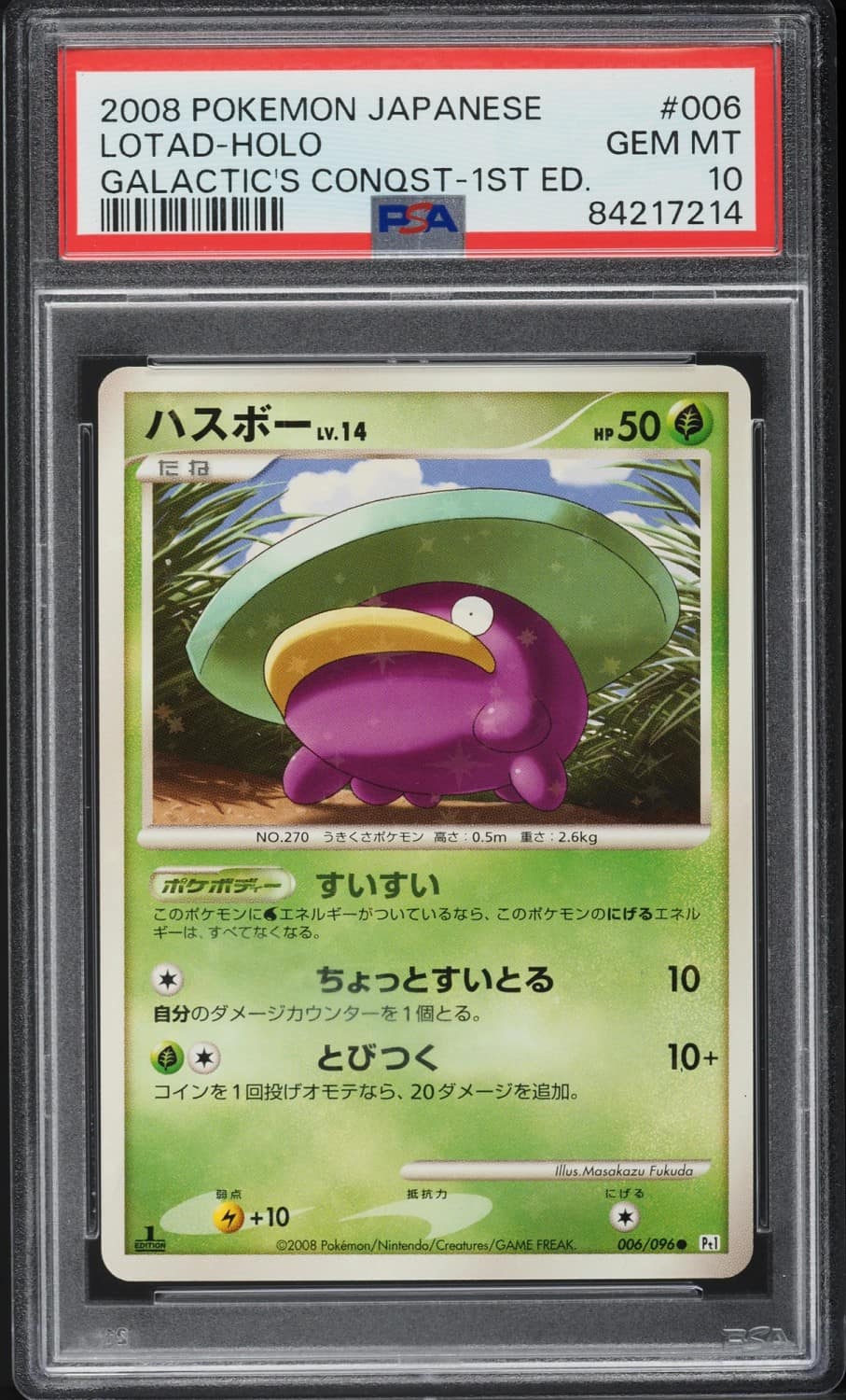 Lotad