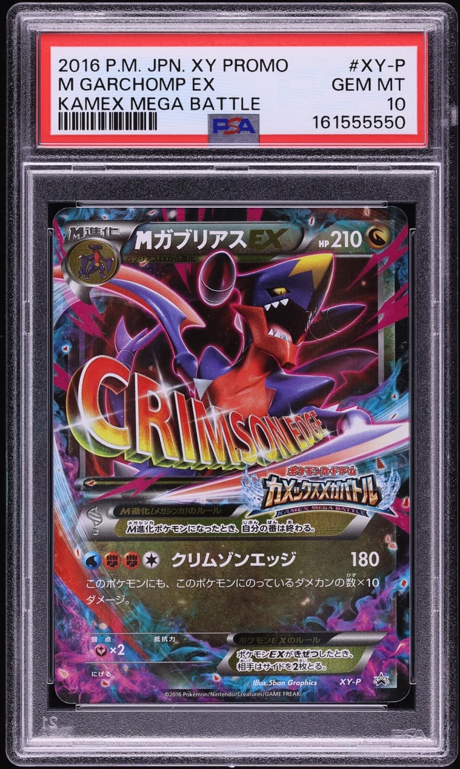 M Garchomp Ex