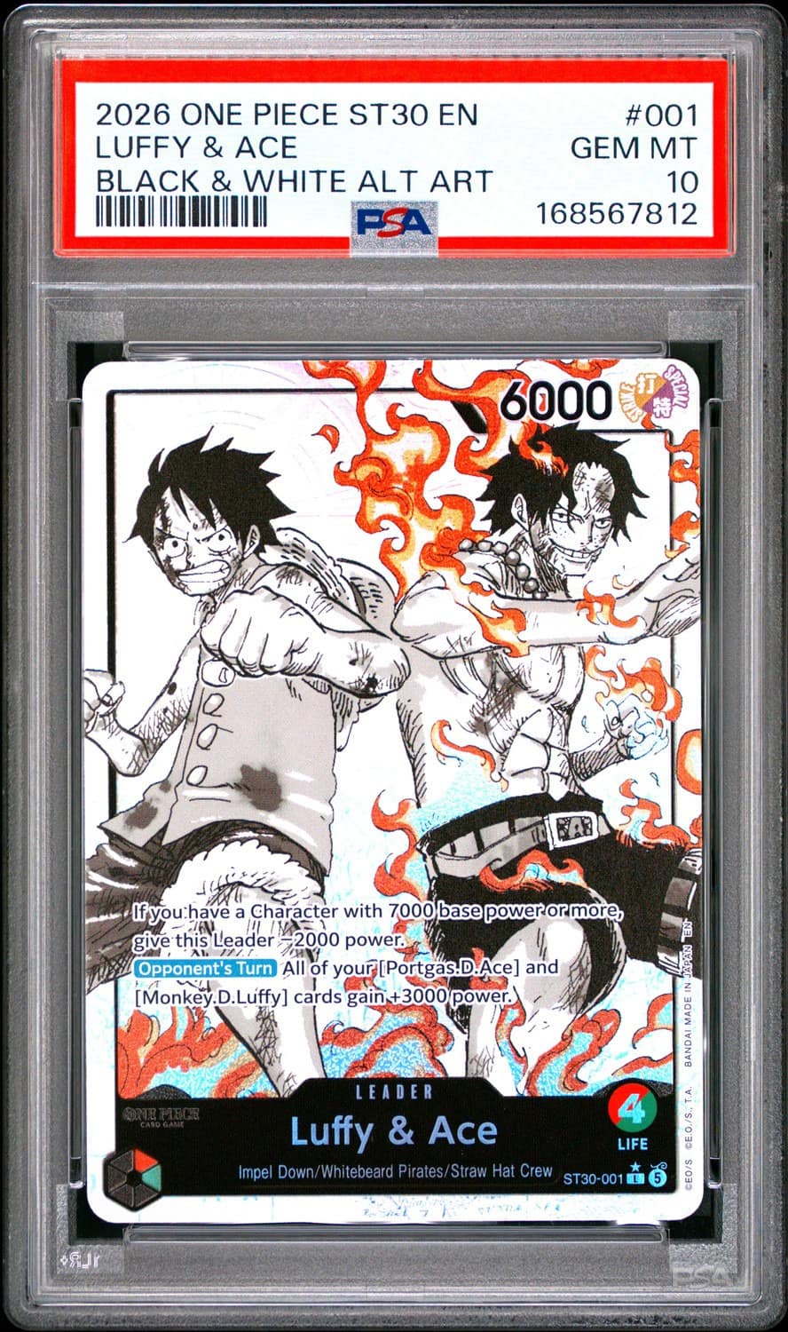 Luffy & Ace